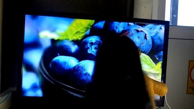 треллер школьная банда