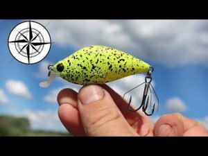 Если дует этот ветер осенью - скорее на водоем за щукой будет жор! Секреты ловли щуки в осенью.