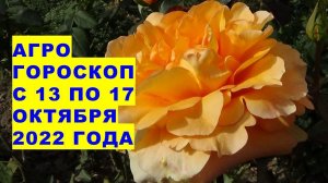 Агрогороскоп с 13 по 17 октября 2022 года