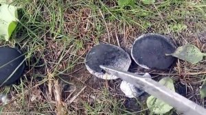 Топливные брикеты для жарки шашлыков . Можно ли их использовать в автоматических котлах ?