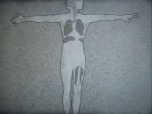 Физиология человека. Иммунитет
