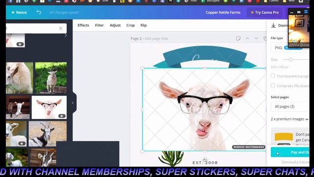 CANVA - Tips / Tricks / Bring your questions! смотреть онлайн
