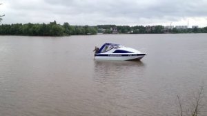 Рыбнадзор на реке Москва, Павшинская пойма