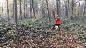 Setter à l'arrêt