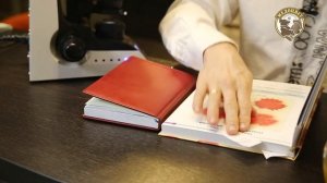 Пыльцевой анализ мёда №3