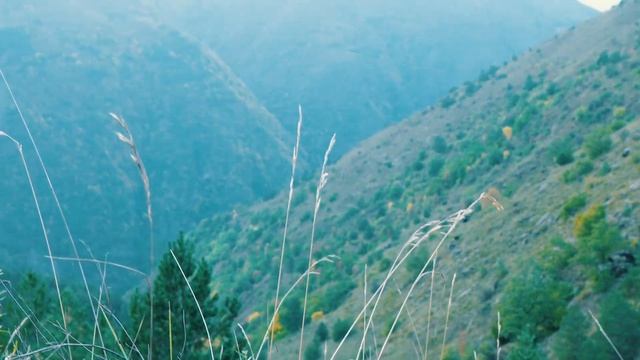 Чеченцы захватили горные вершины смотреть онлайн