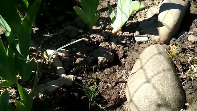 Садовая горка своими руками. смотреть онлайн