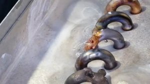 Ремонт размороженного теплообменника!