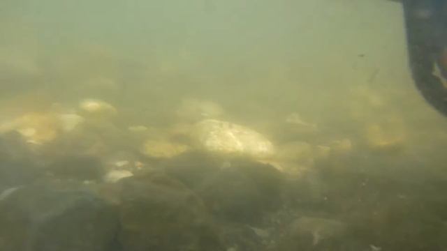 Галилейский Карп 2012 (Израиль) смотреть онлайн