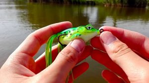 Обзор лягушки для ловли щуки спиннингом.Рыбалка.Fishing