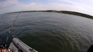 Рыбалка на хариуса, Енисей.