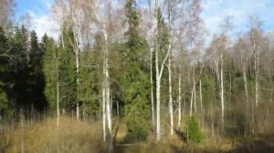 Поезд Бологое - Осташков на паровозной тяге