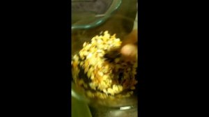 Зерновые палочки для крыс!? ЛЕГКО И ВКУСНО!!!!