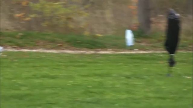 Мальтийское колесо Санкт-Петербург и Монтаж всего смотреть онлайн