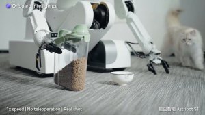 Китайцы представили робота-дворецкого по имени Astribot