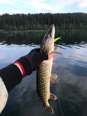 Открытие сезона жидкой воды )) Рыбалка на щуку.