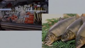 Классный час на тему «Всемирный день моря»