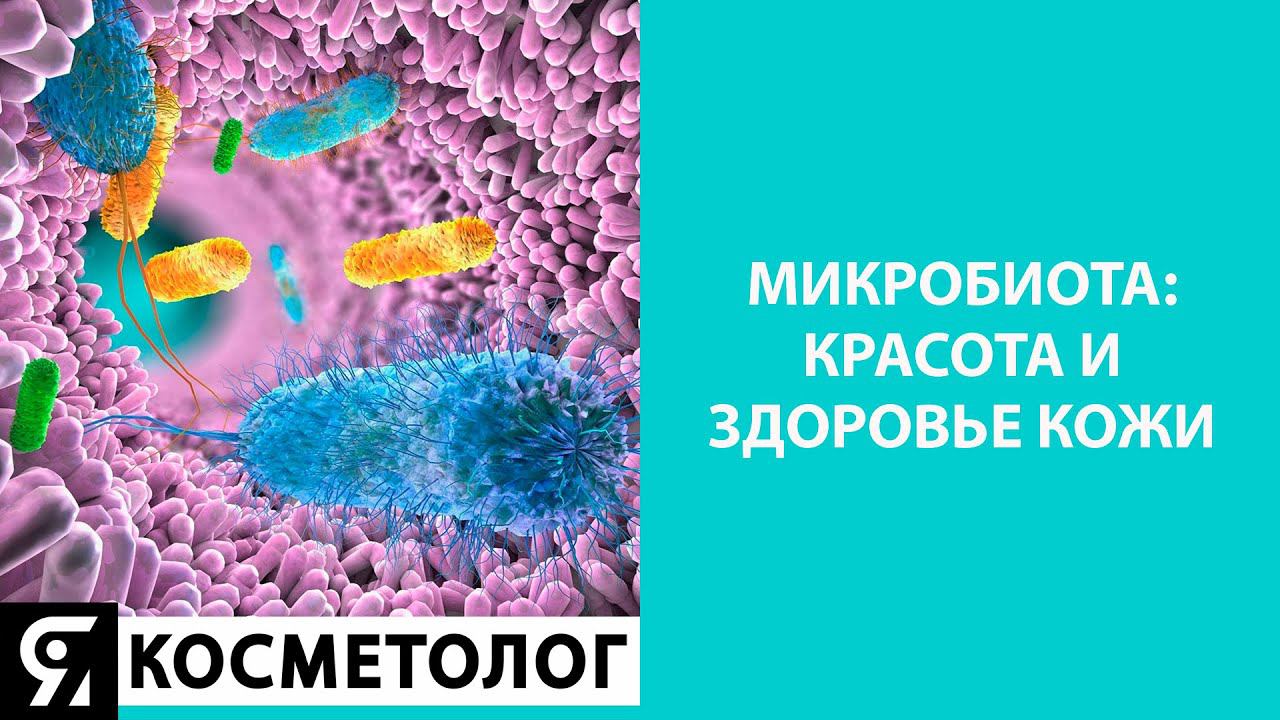 Запись эфира "Микробиота: красота и здоровье кожи" смотреть онлайн