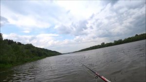 ПАУК ДЛЯ РЫБАЛКИ. РЕЗКИЙ ПОДЪЁМ ВОДЫ ПОСЛЕ ДОЖДЕЙ!!!