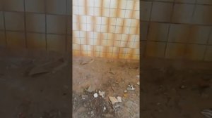 Пионерский лагерь,, Дружба,, Каменский район Ростовская область!