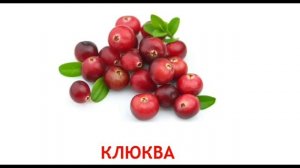 Фрукты , овощи и ягоды для самых маленьких.  Развивающий  мультик  для детей.