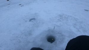 Ловля Форели на Жерлицы | Безлимит в Дурыкино