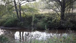 Деревня моих предков Екимовичи