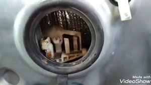 Заблокировалась задняя дверь на Фиат стило