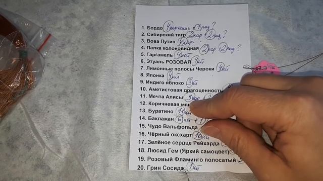 Наглядное пособие. Или как я справилась с большим количеством сортов помидор