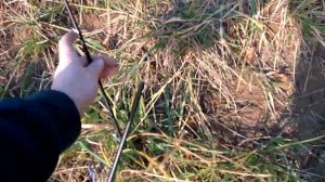 Первая рыбалка с norstream rooky.она же последняя