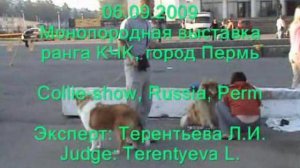 06.09.2009 Монопородная выставка колли класса КЧК, город Пер