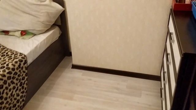 КАК ПРИУЧИТЬ ХОМЯКА К ИМЕНИ смотреть онлайн