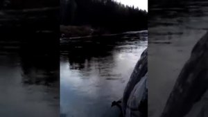 по лесной речке на моторной лодке в Кировской области