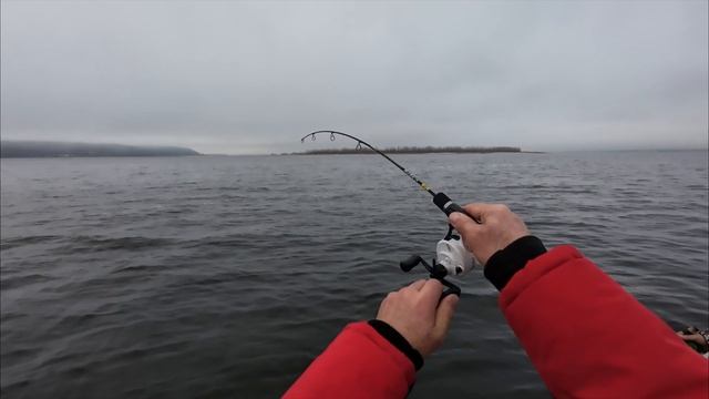 рыбалка с лодки в отвес на судака#