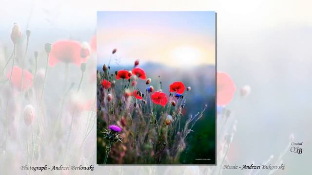 *** - Petit Fleuri - ANDRZEI BERLOWSKI & ANDRZEI BUKOWSKI - *** ( Relaxing clarinet music ) смотреть онлайн