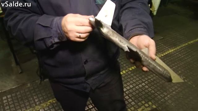 Будни ВСМПО. «Золотой фонд»: Денис Маслов смотреть онлайн