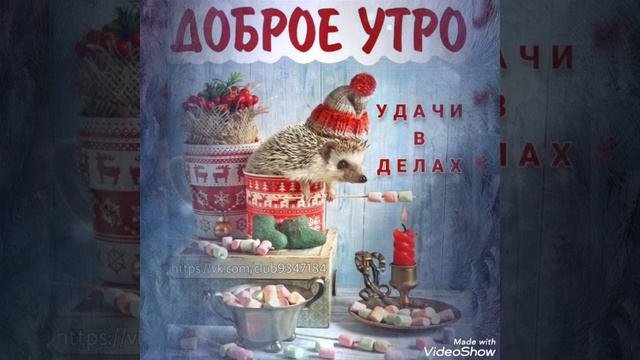С ДОБРЫМ ЗИМНИМ УТРОМ!#позитив #хорошеенастроение