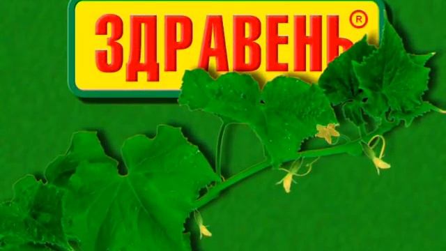 Здравень для огурцов (быстрее растут) смотреть онлайн