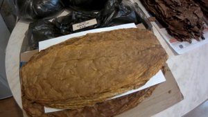 Мой способ хранения табачного листа