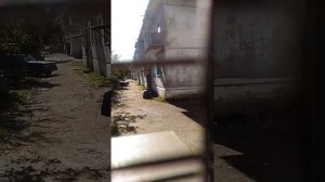 Молочные дворы