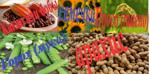 ПРИКОРМКА ДЛЯ ВЕСЕННЕЙ РЫБАЛКИ своими руками..