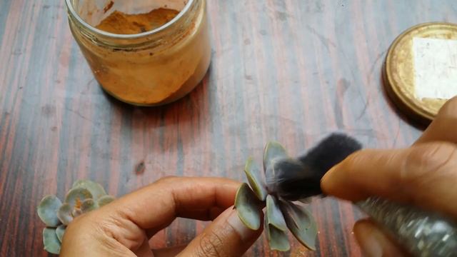 || HOW TO FIX MEALY BUGS ISSUE || смотреть онлайн