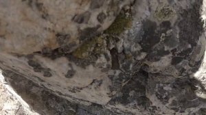 Уллутау 2020 "Категория трудности" полностью.