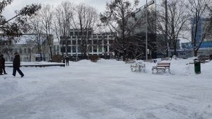 Семья Колесниковых / Колесниковы / 7-Я / И правда, хуже некуда - ДНО / Обзор влогов