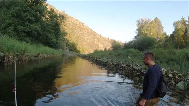 Дикая рыбалка на щуку. Бешеный летний клёв.