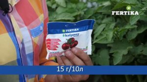 LEAF POWER - для пасленовых культур