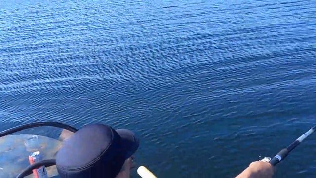 30 июля 2023 г. смотреть онлайн