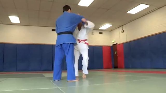 How To Do Judo Sweeps смотреть онлайн