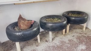 Гнезда табуретки из маленьких шин