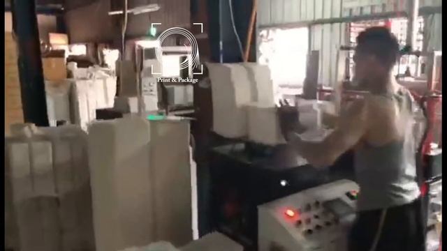 Автоматическая линия для упаковки ланч боксов смотреть онлайн